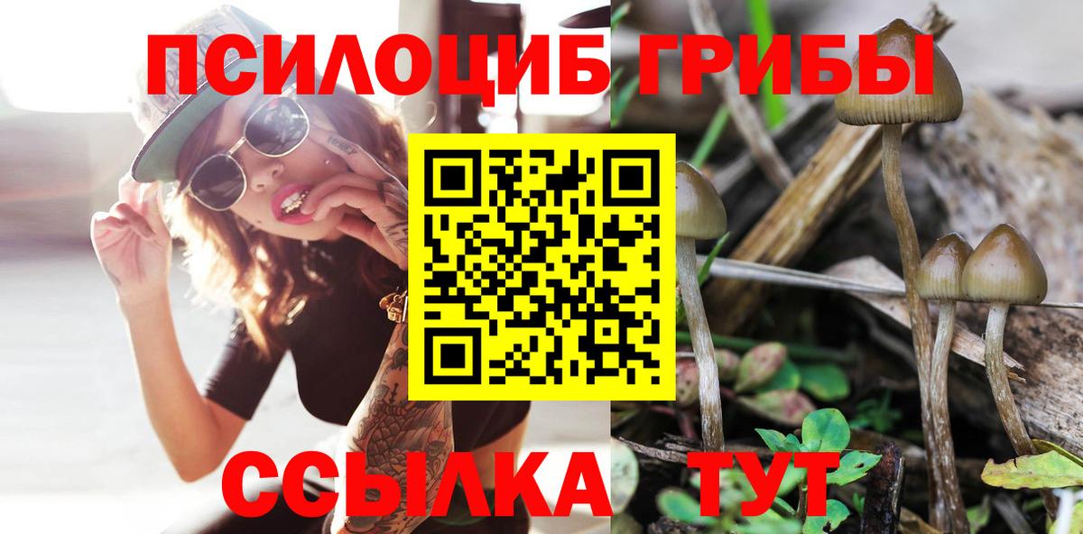 Галлюциногенные грибы мицелий Кумертау