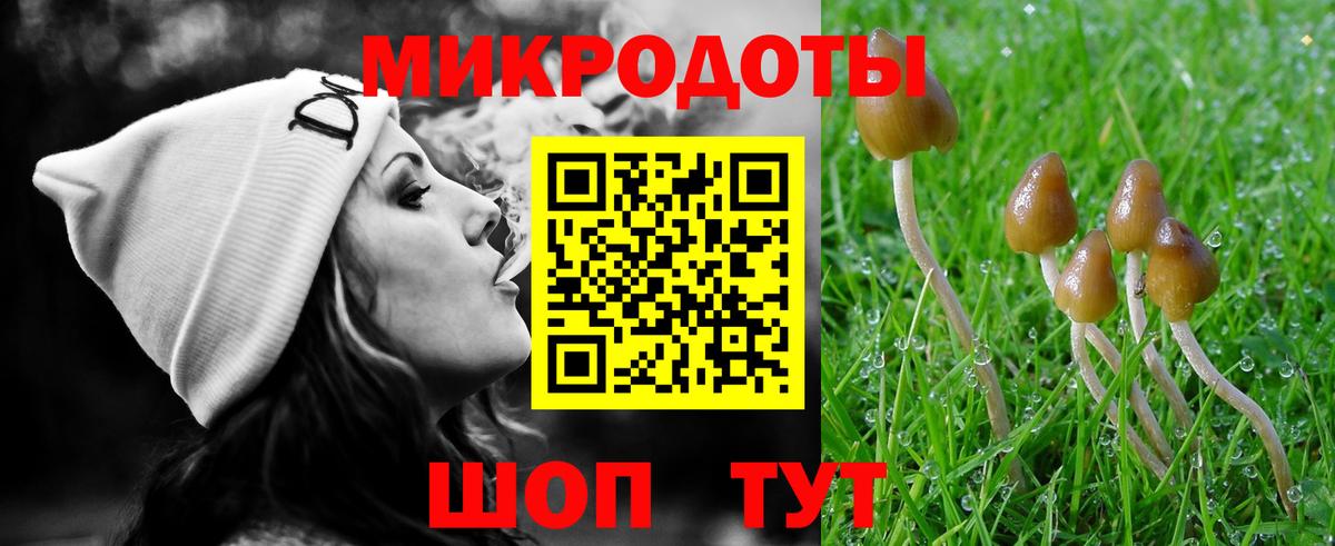 купить закладку  Вход с VPN  Галлюциногенные грибы GOLDEN TEACHER  Кумертау  Галлюциногенные грибы мицелий 